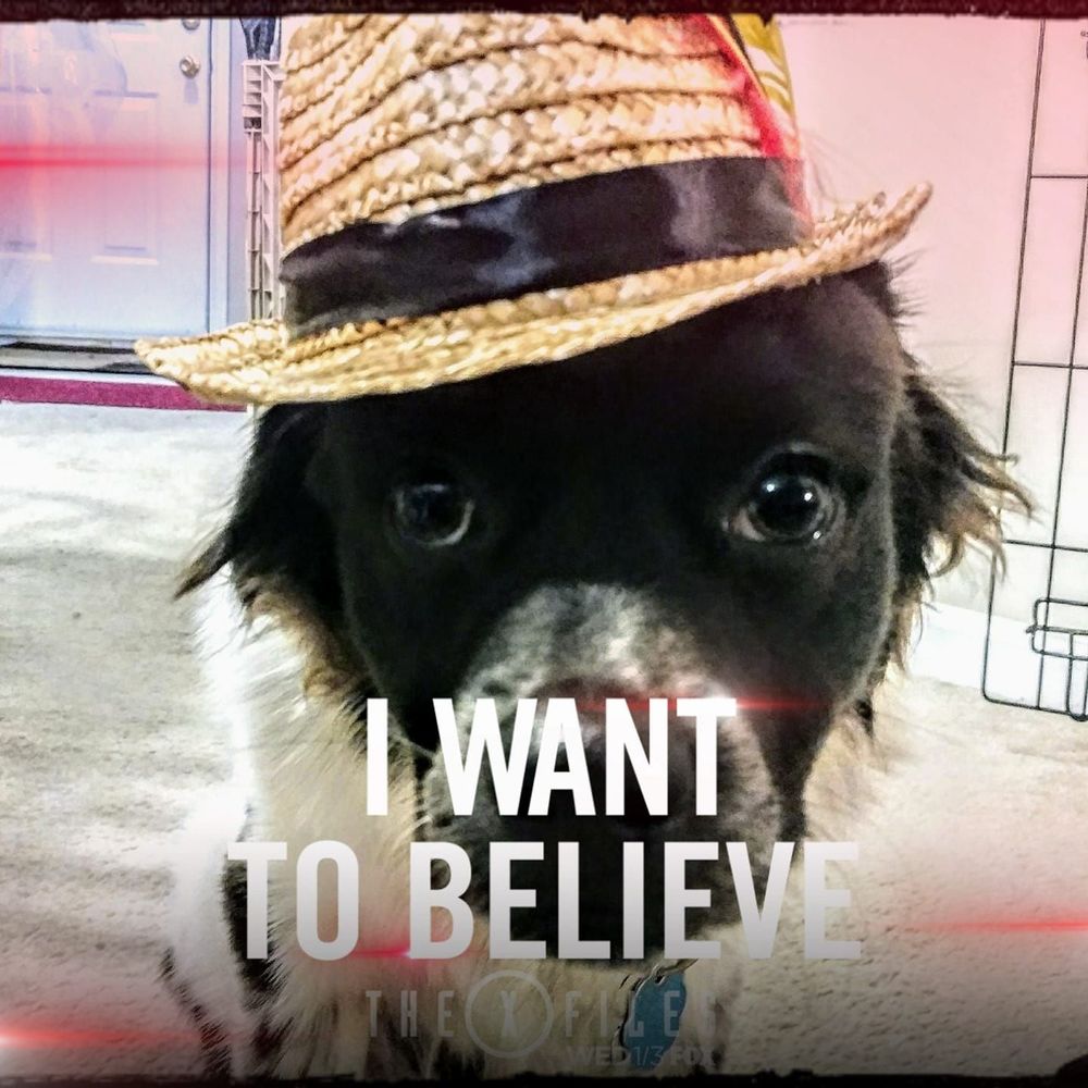 Meet your Posher, Tammy